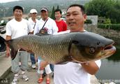 Aquiculture, the progenitive method of grass carp