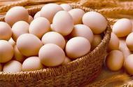 Egg of egg, dove and quail egg, it which kinds of