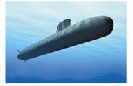 Can submarine hit cetacean, shark not carefully when underwater fires missile or 8 ungual fish this