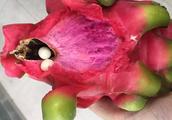 Hangzhou netizen eats firedrake fruit, discover 2