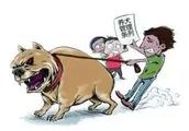 Evil dog hurts person incident frequency to send,