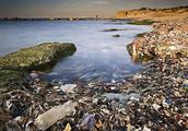 Pacific Ocean discovers rubbish island, the area i