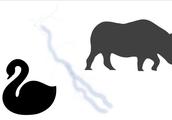 Black swan and grey rhinoceros, how be on guard th
